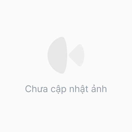Áo thun giấy trơn 11206